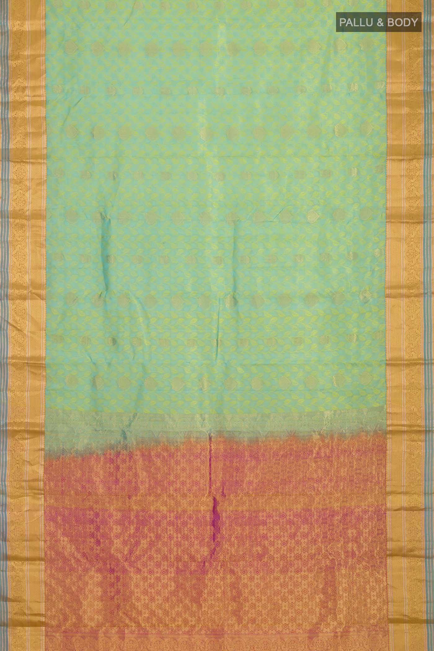 pallu body