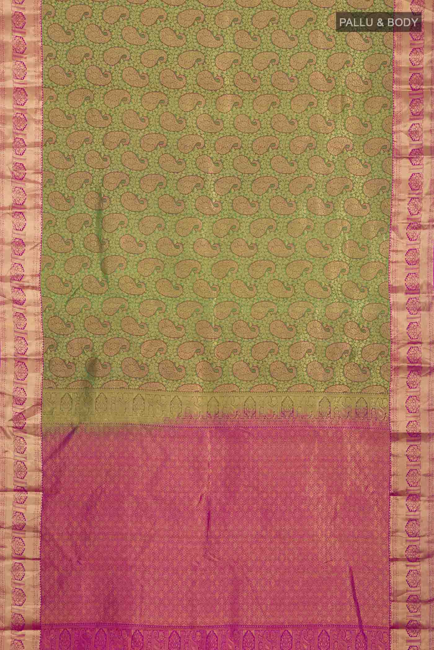 pallu body