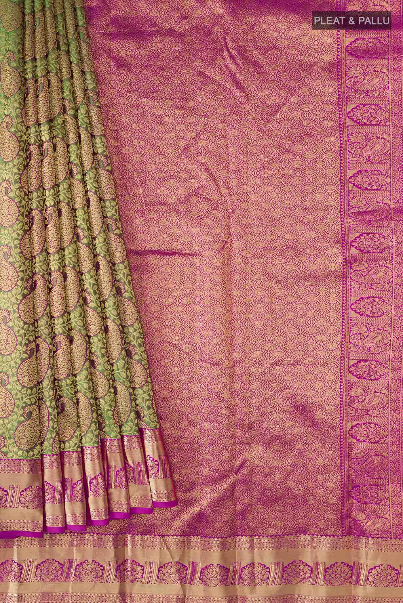 pleats pallu