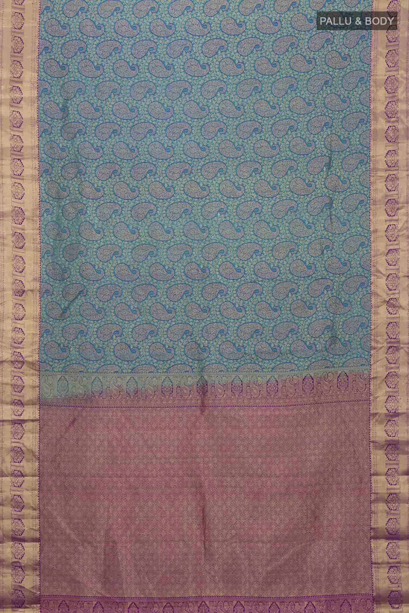 pallu body