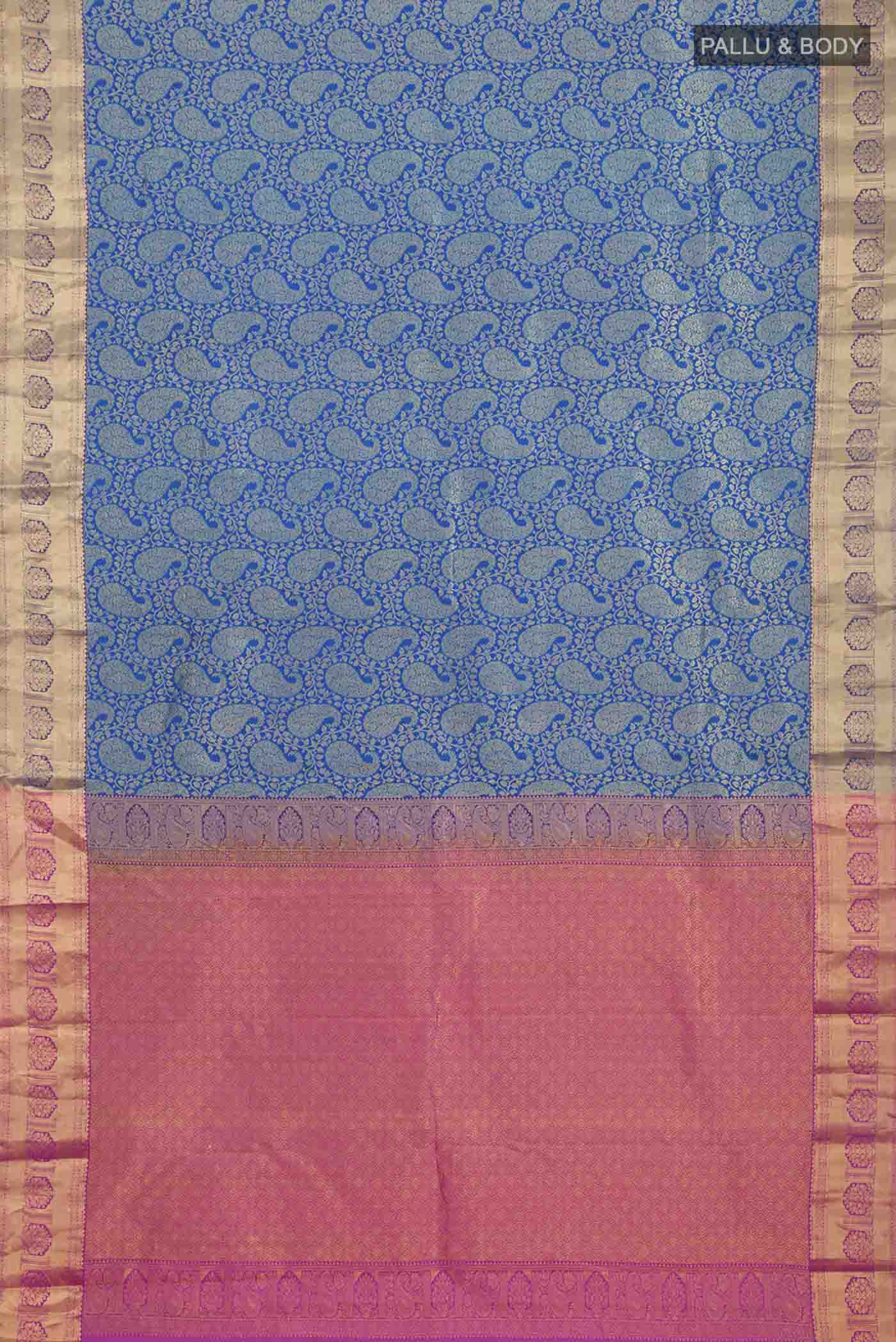 pallu body