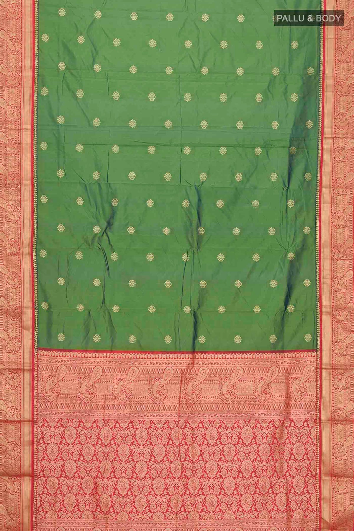 pallu body