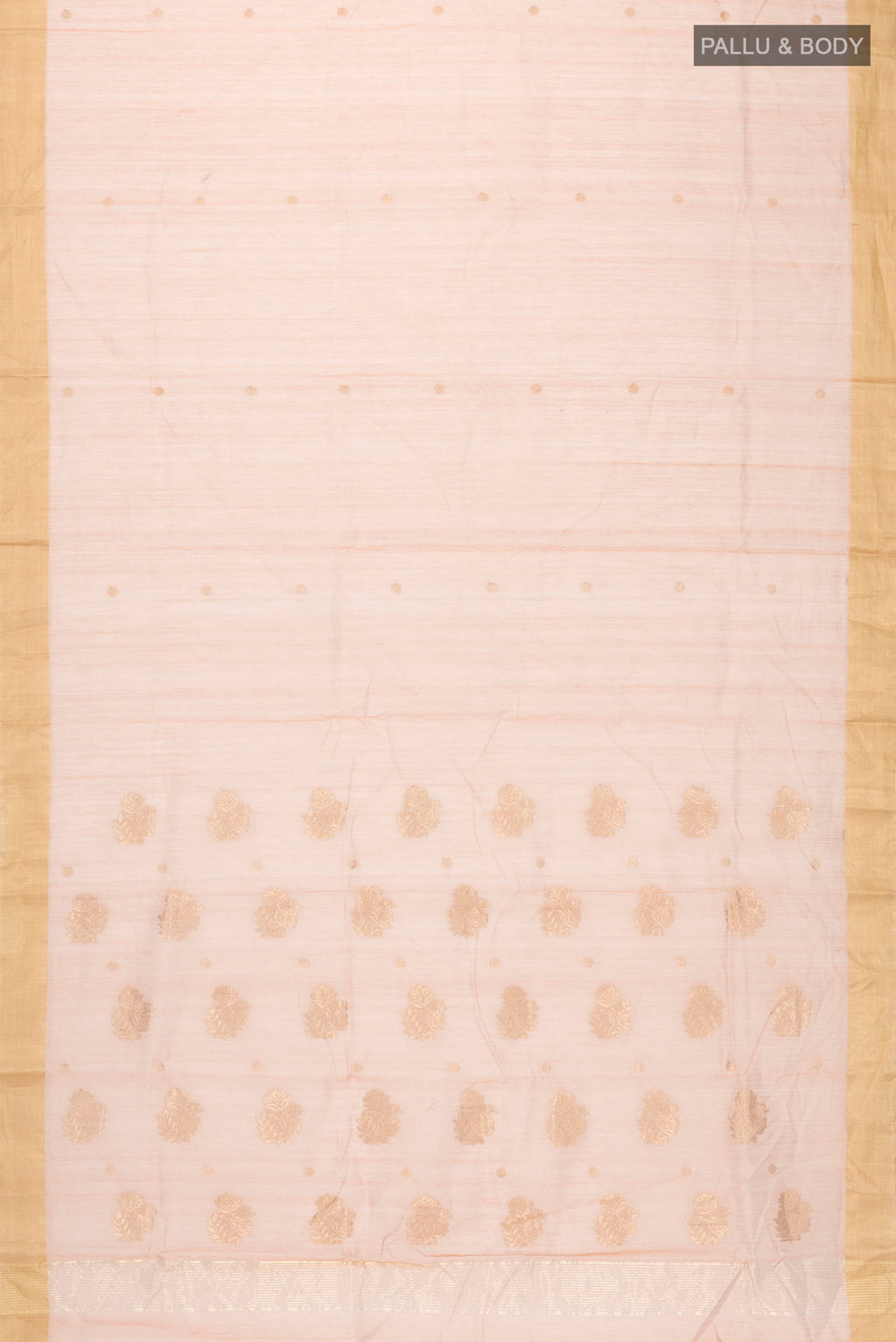 pallu body