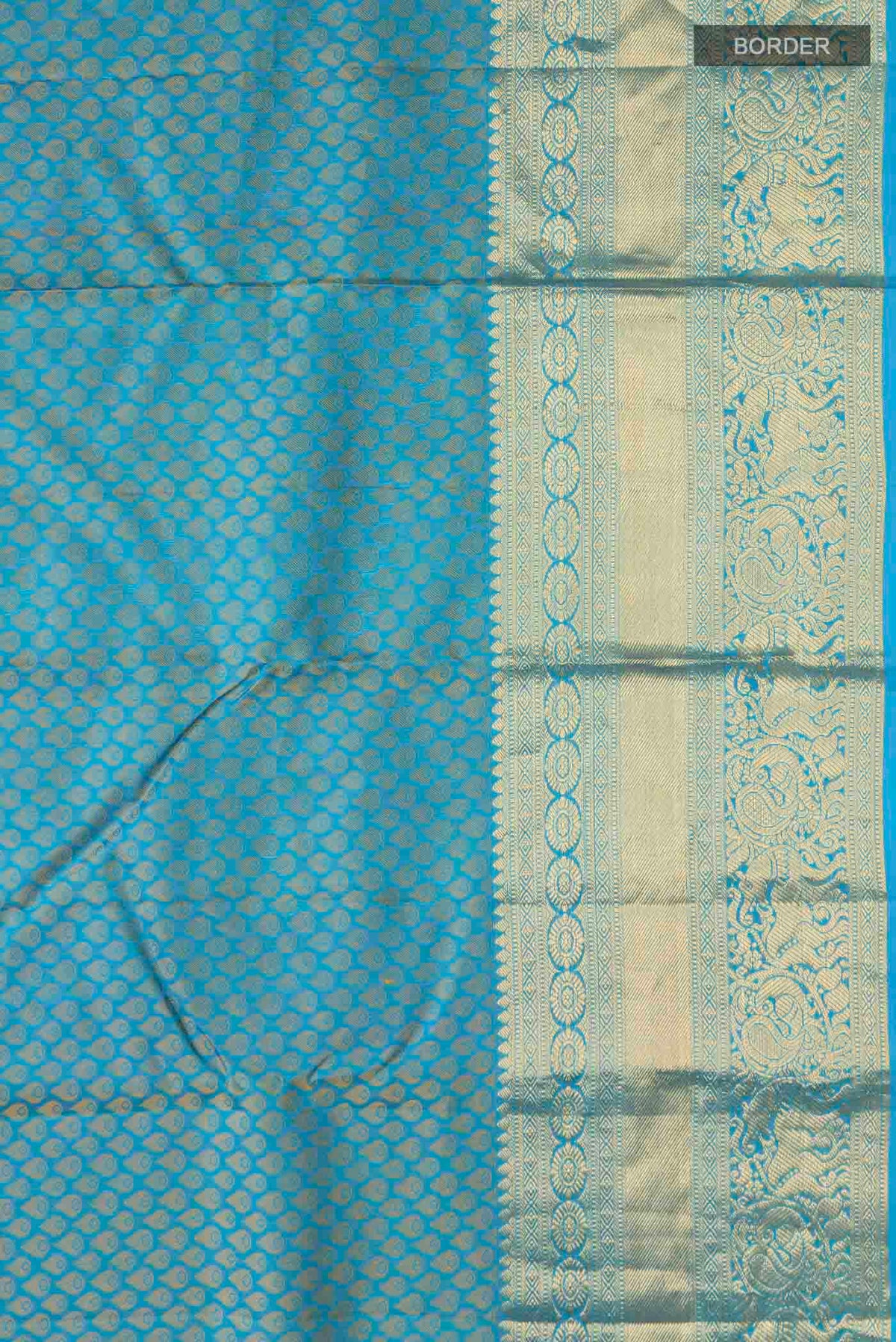 Border image of Blue Kanchipuram Silk Saree with Jacquard design on the body and Zari Border