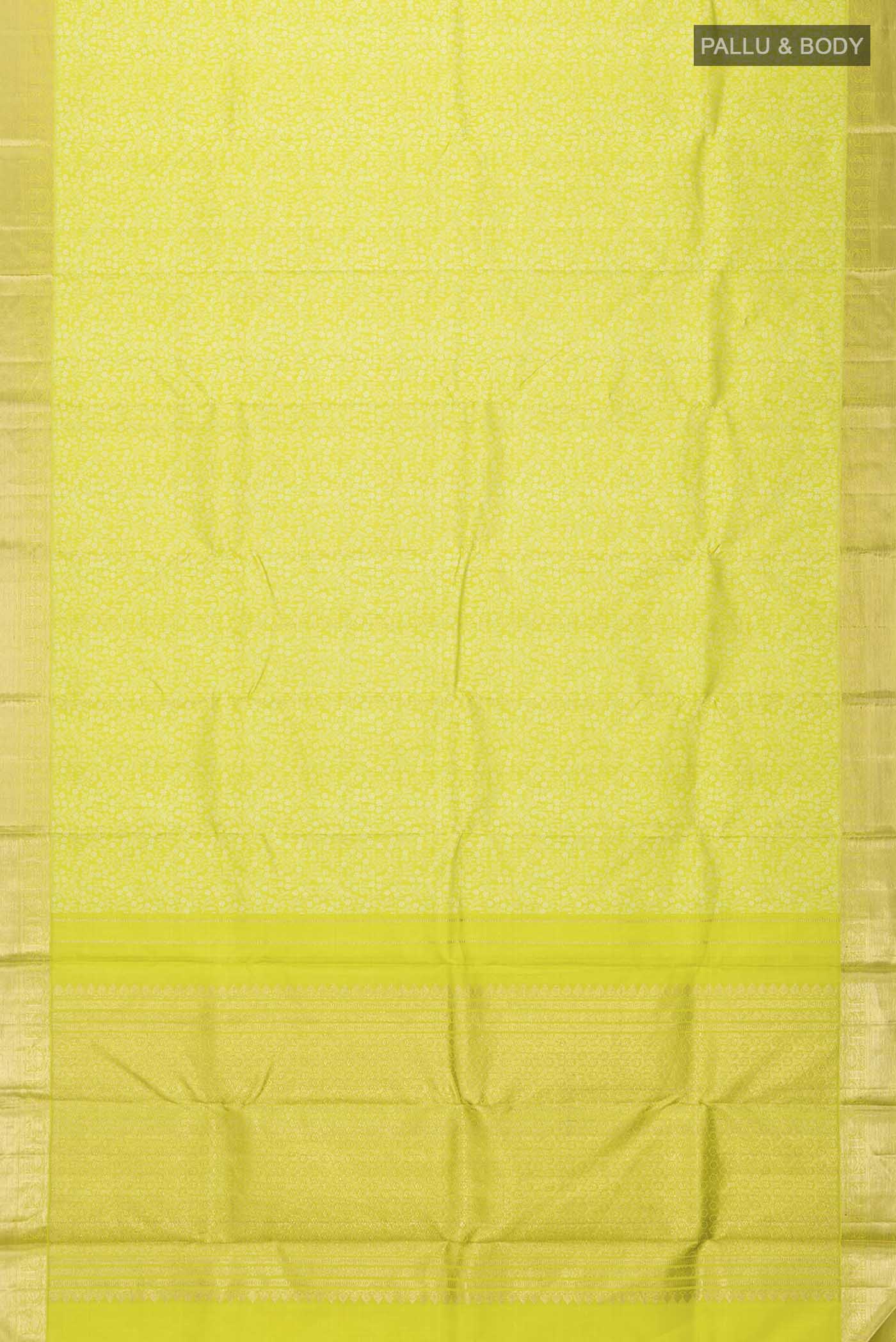 pallu body