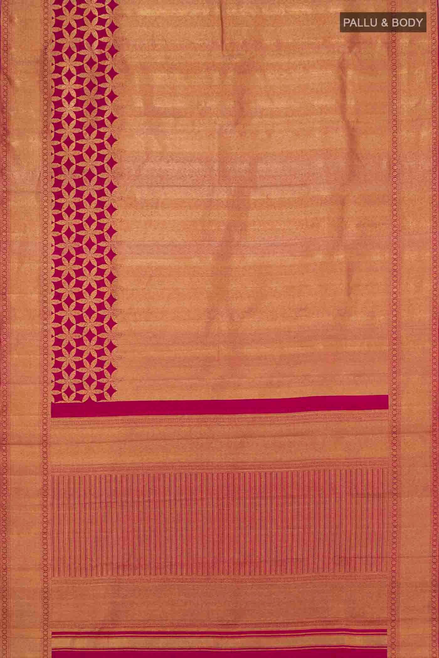pallu body
