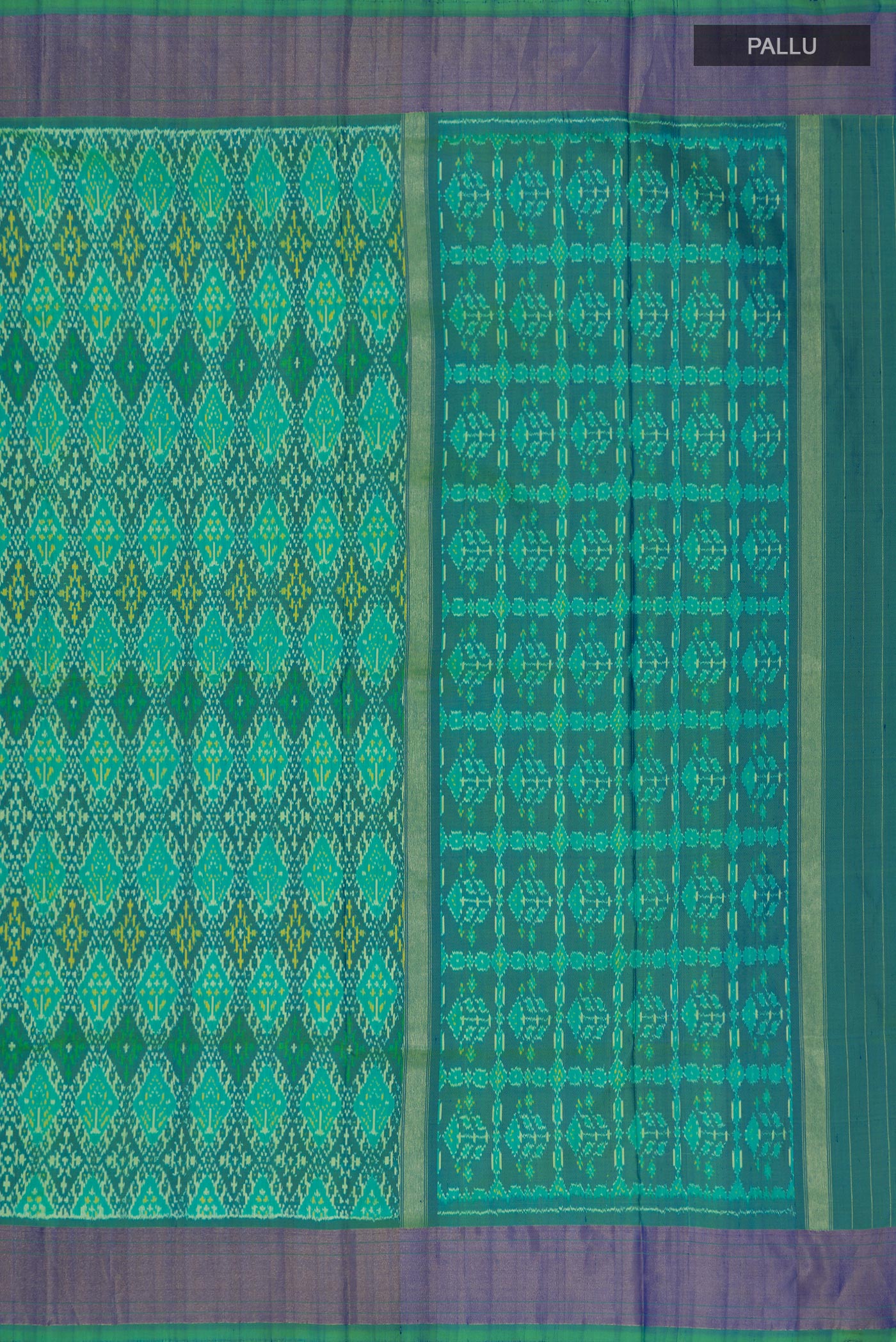 Close up image of the pallu of Light Green Pochampally Silk Saree with Ikat Print on the body and Zari Border. 
