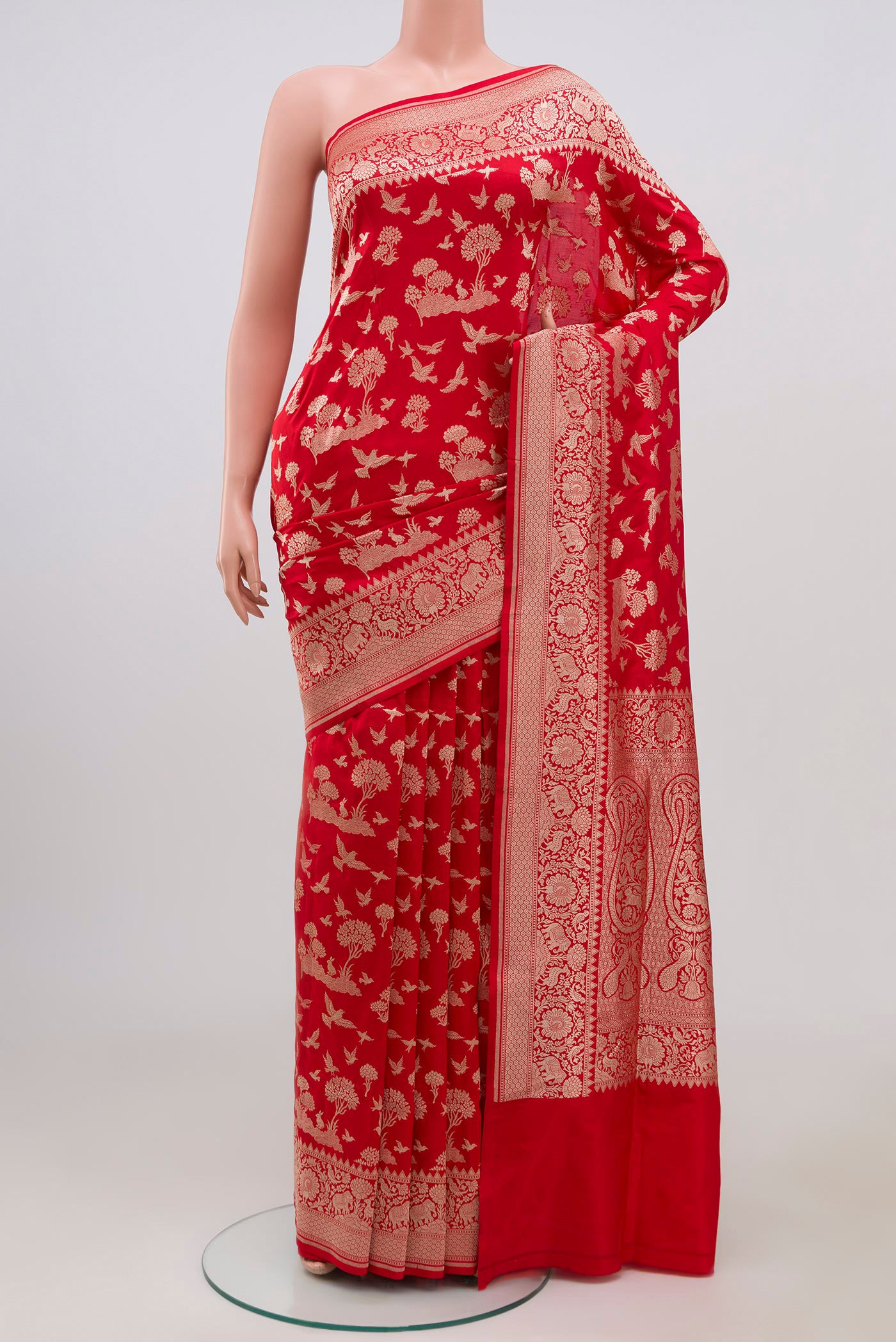 Red Banarasi Saree with Zari Brocade on the body and Zari Border.  displayed on a mannequin
