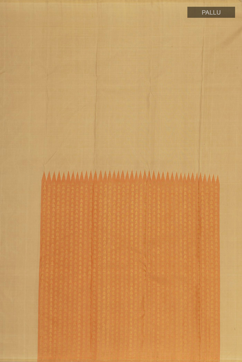 Close up image of the pallu of Beige Kanjivaram Silk Saree with Fancy on the body and Without Border. 