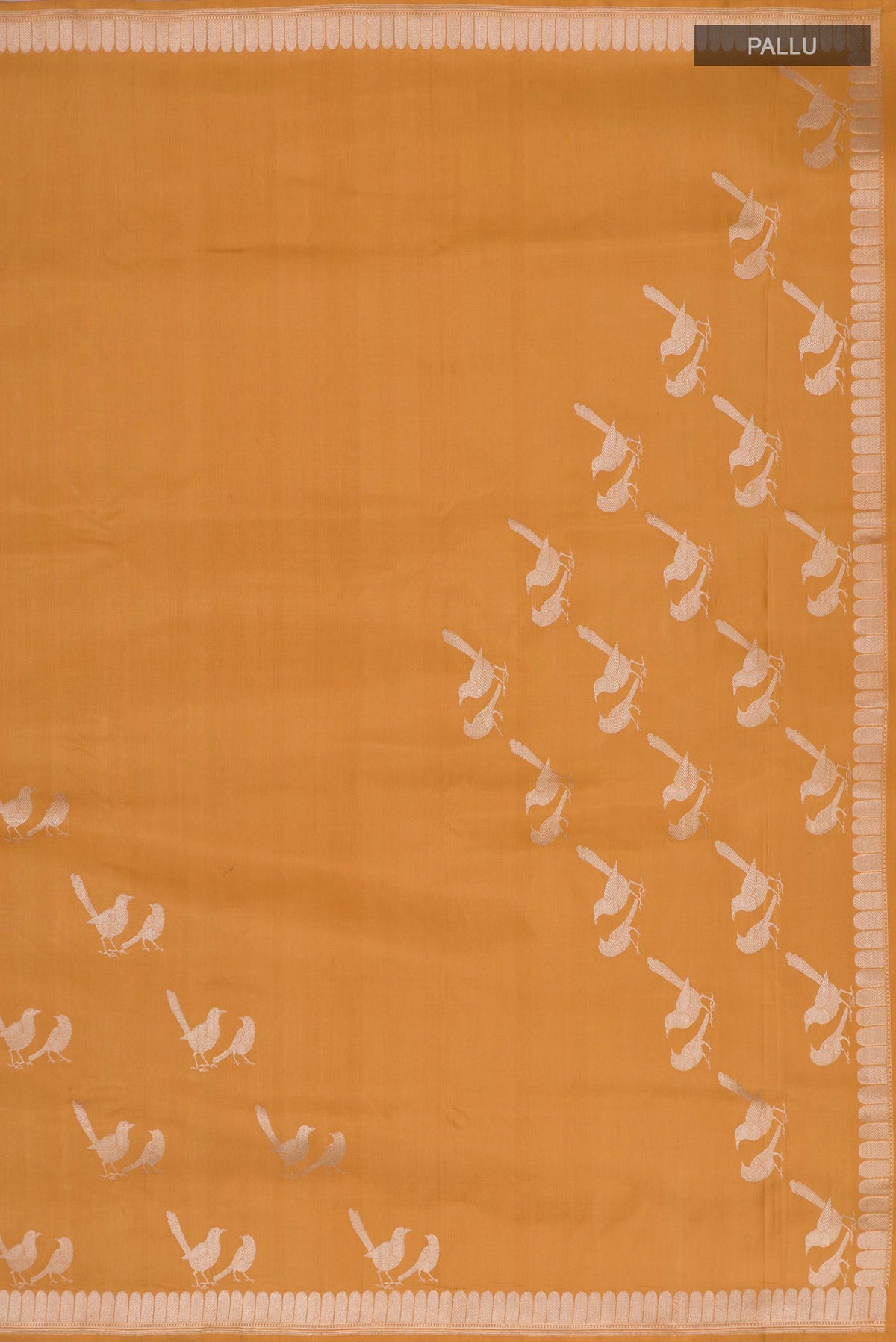 Close up image of the pallu of Caramel Banarasi Silk Saree with Plain Body and Zari Border. 