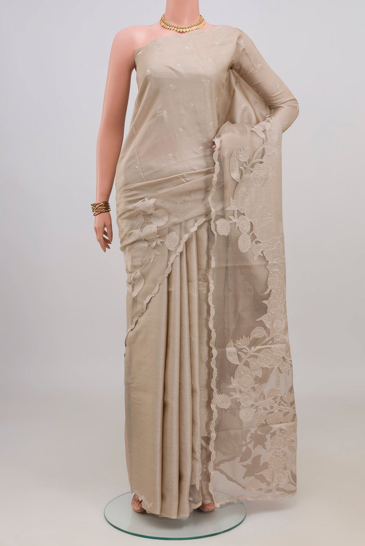 Beige Tussar Silk Saree with Embroidery on the body and Embroidery Border.  displayed on a mannequin