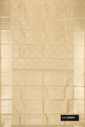 Pista Green Dual Tone Kanchipuram Silk Saree with Zari Brocade on the body and Zari Border.  displayed on a mannequin