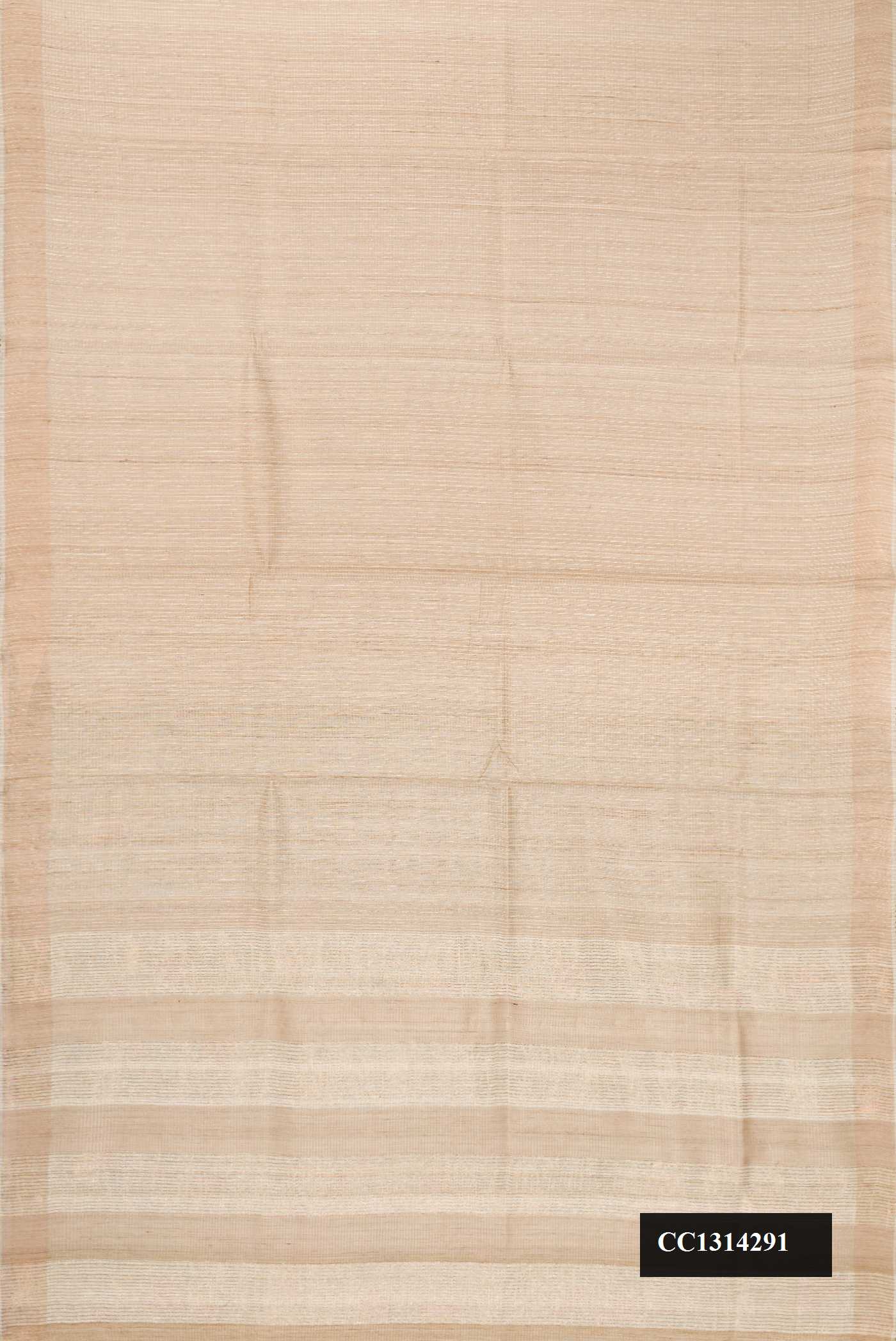Beige Dual Tone Tussar Silk Saree with Checked design on the body and Embroidery Border.  displayed on a mannequin