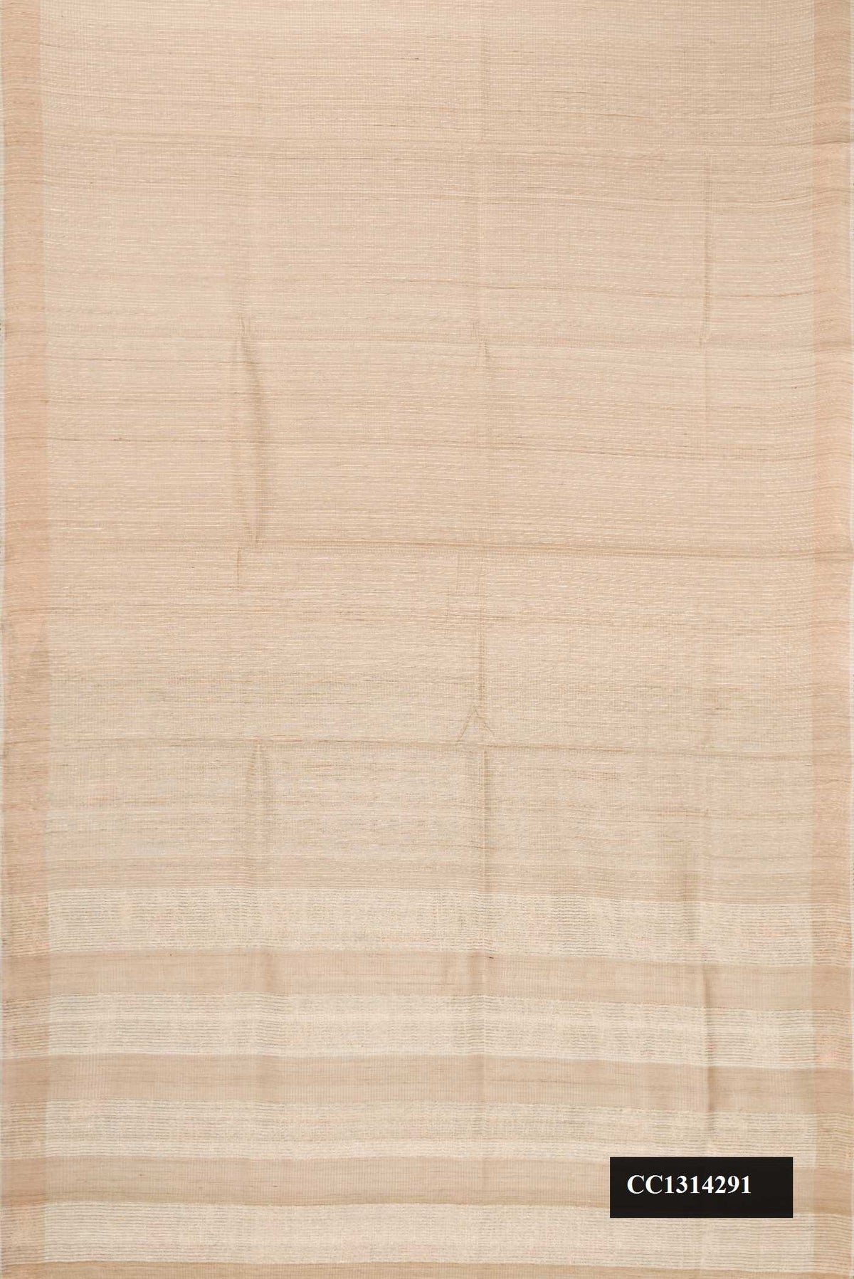 Beige Dual Tone Tussar Silk Saree with Checked design on the body and Embroidery Border.  displayed on a mannequin