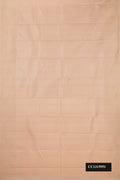 Beige Dual Tone Kanchipuram Silk Saree with Checked design on the body and Zari Border.  displayed on a mannequin