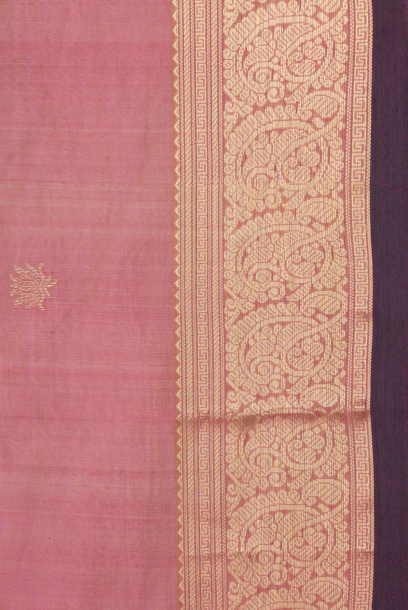 Border image of Pink Dual Tone Silk Cotton Saree with Zari Butta on the body and Zari Border. 