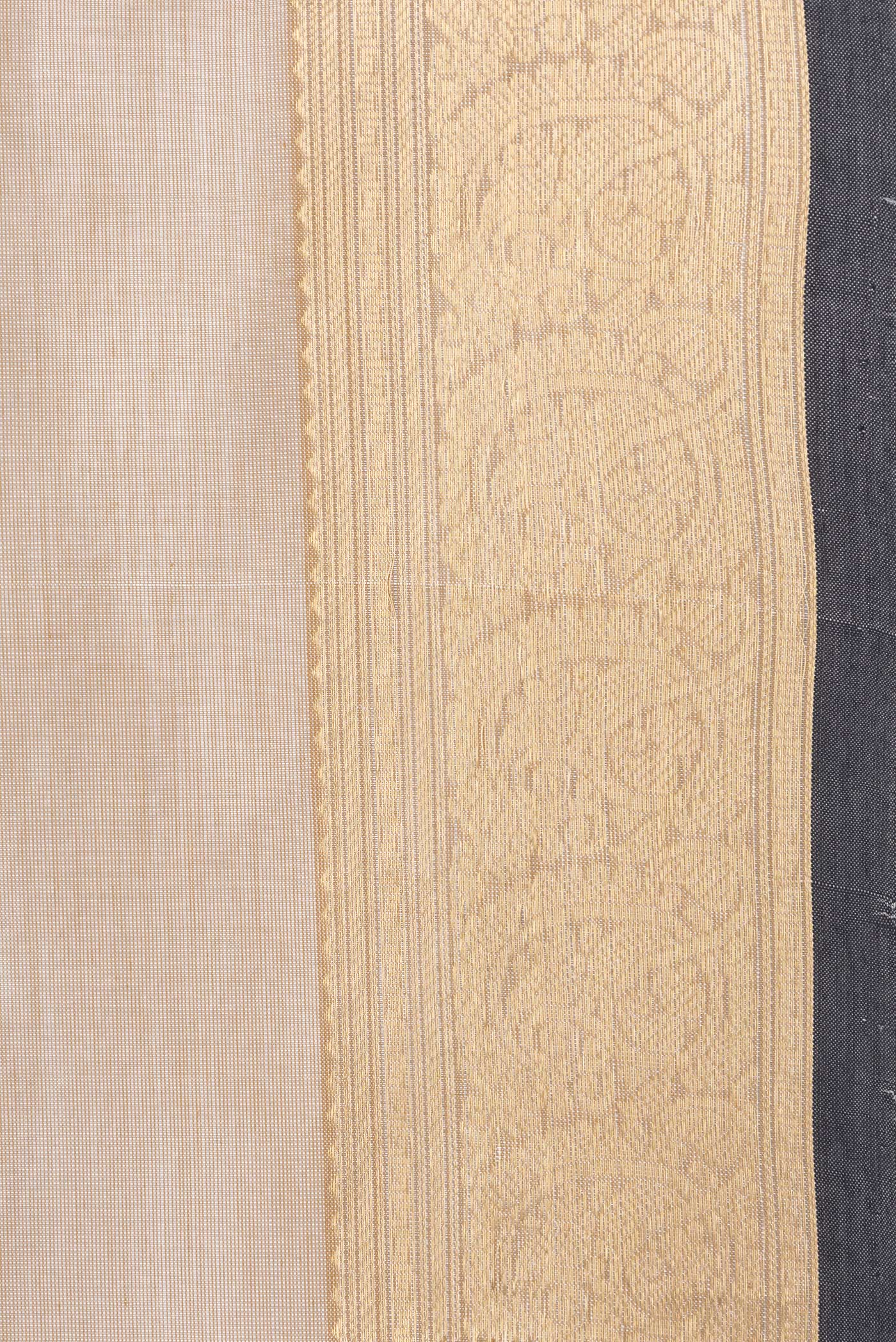 Border image of Beige Dual Tone Silk Cotton Saree with Zari Butta on the body and Zari Border. 