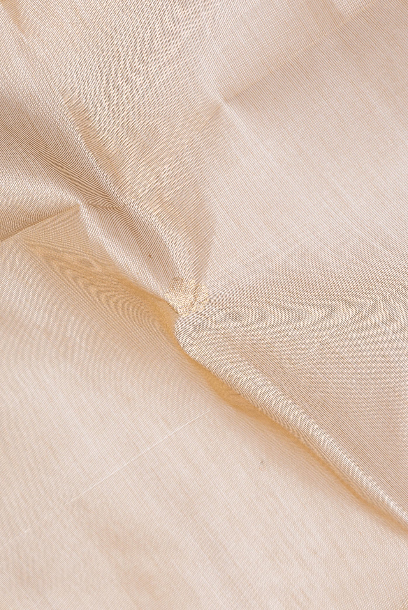 Close up of Beige Dual Tone Silk Cotton Saree with Zari Butta on the body and Zari Border.  displaying folds