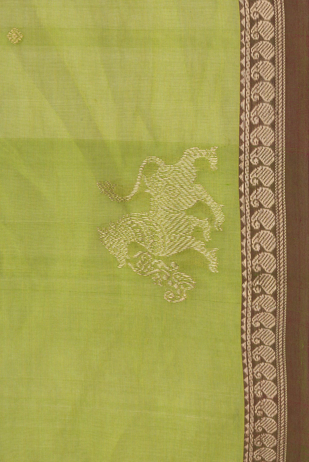 Border image of Parrot Green Dual Tone Silk Cotton Saree with Zari Butta on the body and Zari Border. 