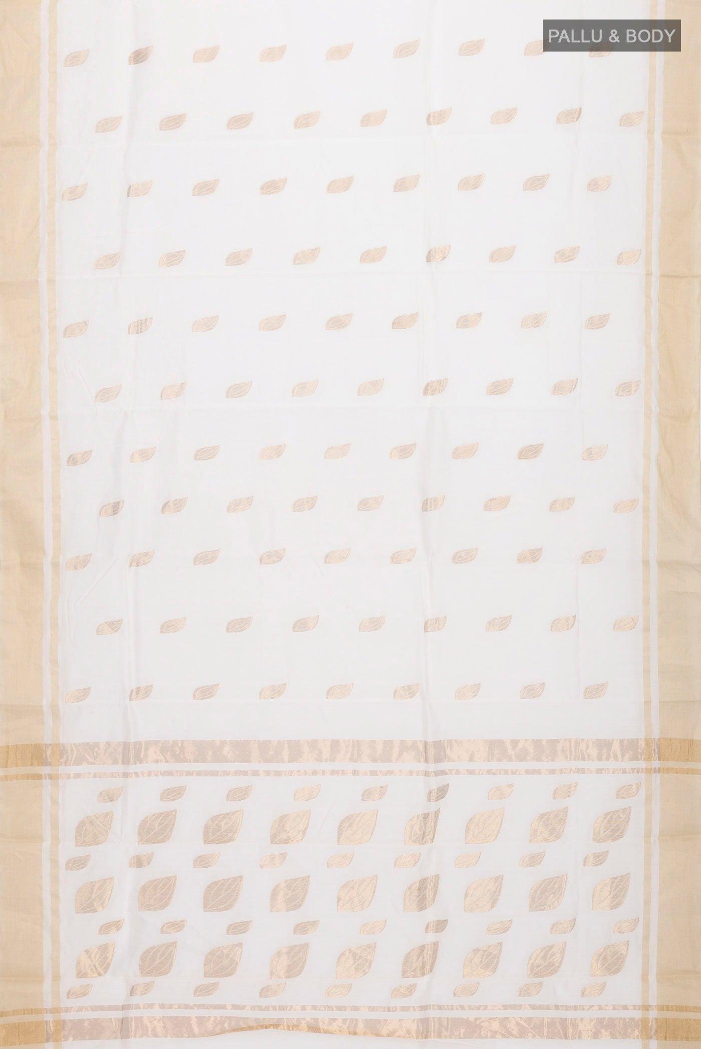 pallu body