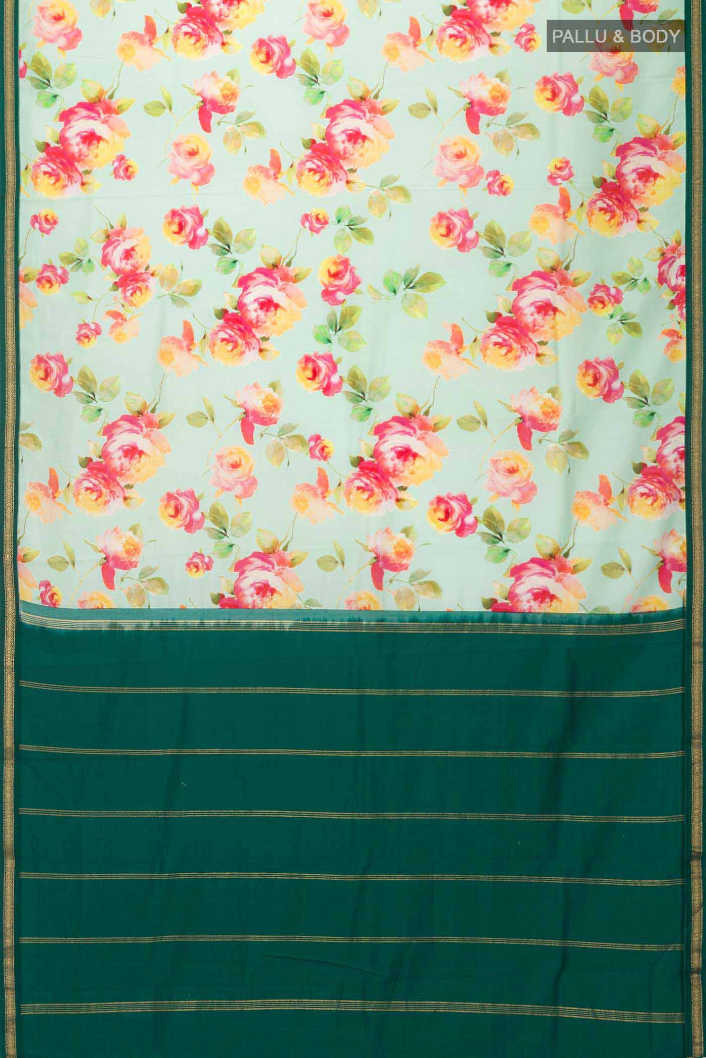 pallu body