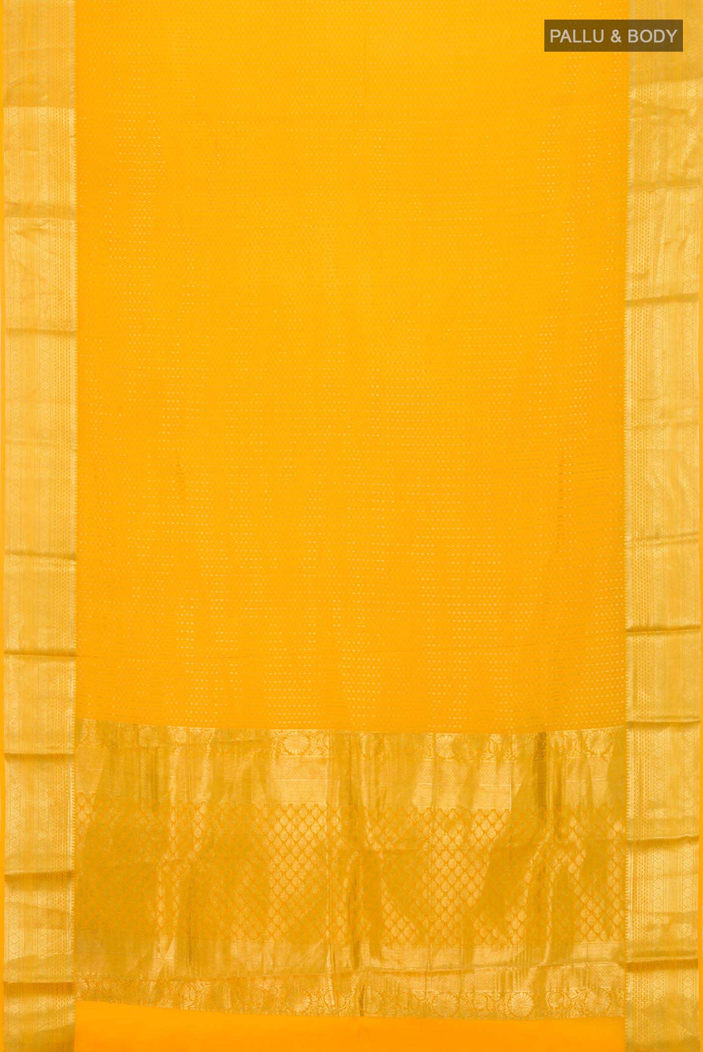 pallu body