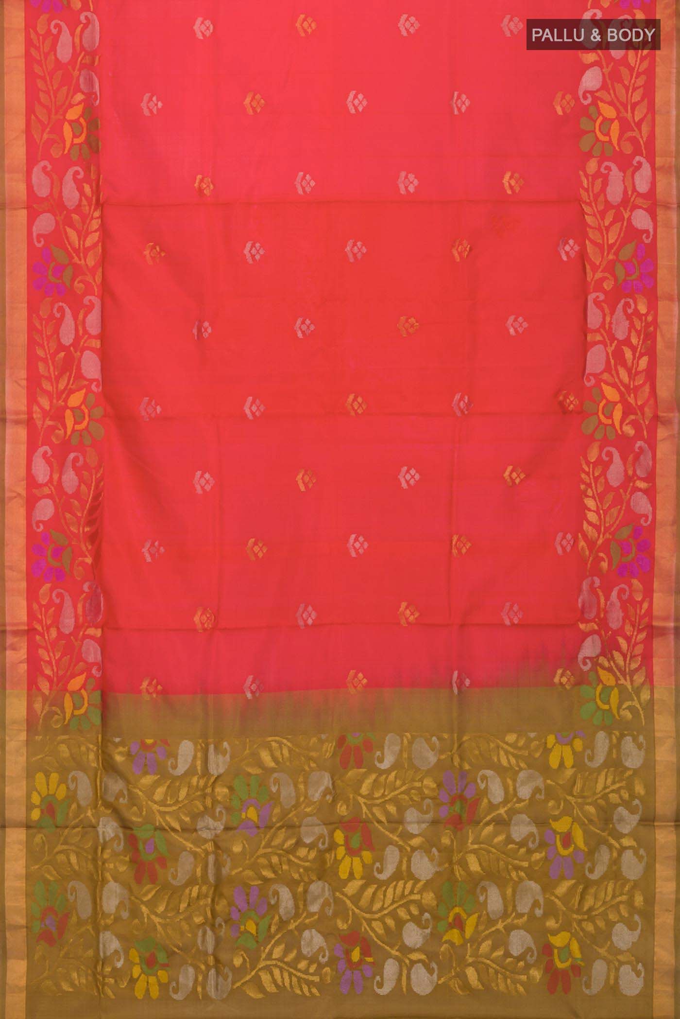 pallu body