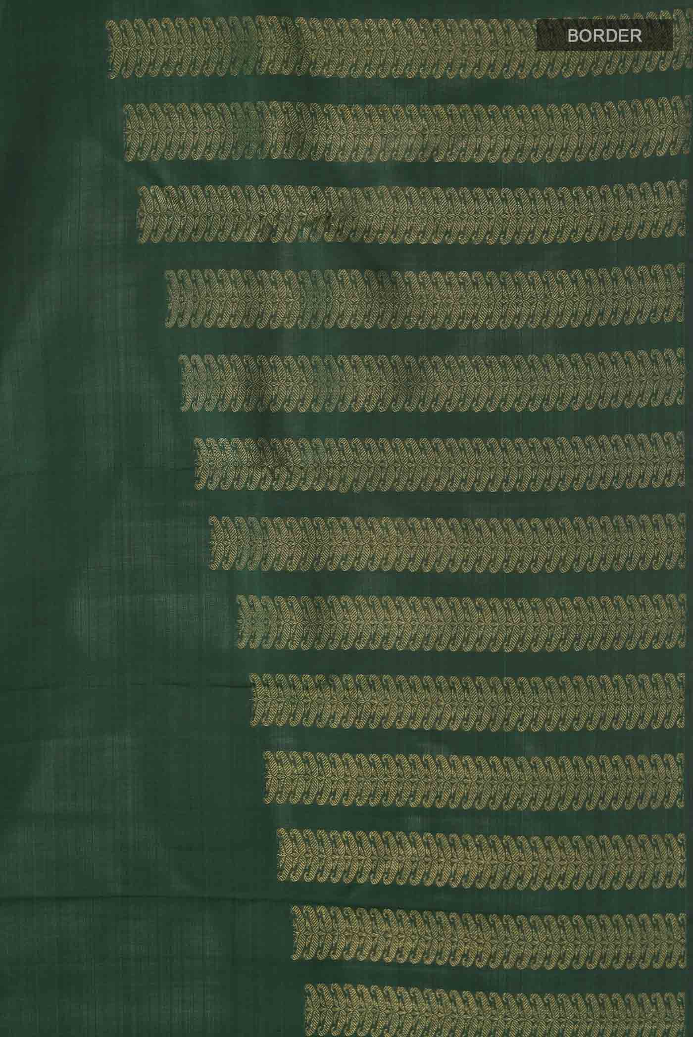 Border image of Green Kanchipuram Silk Saree with Stripes on the body and Without Border