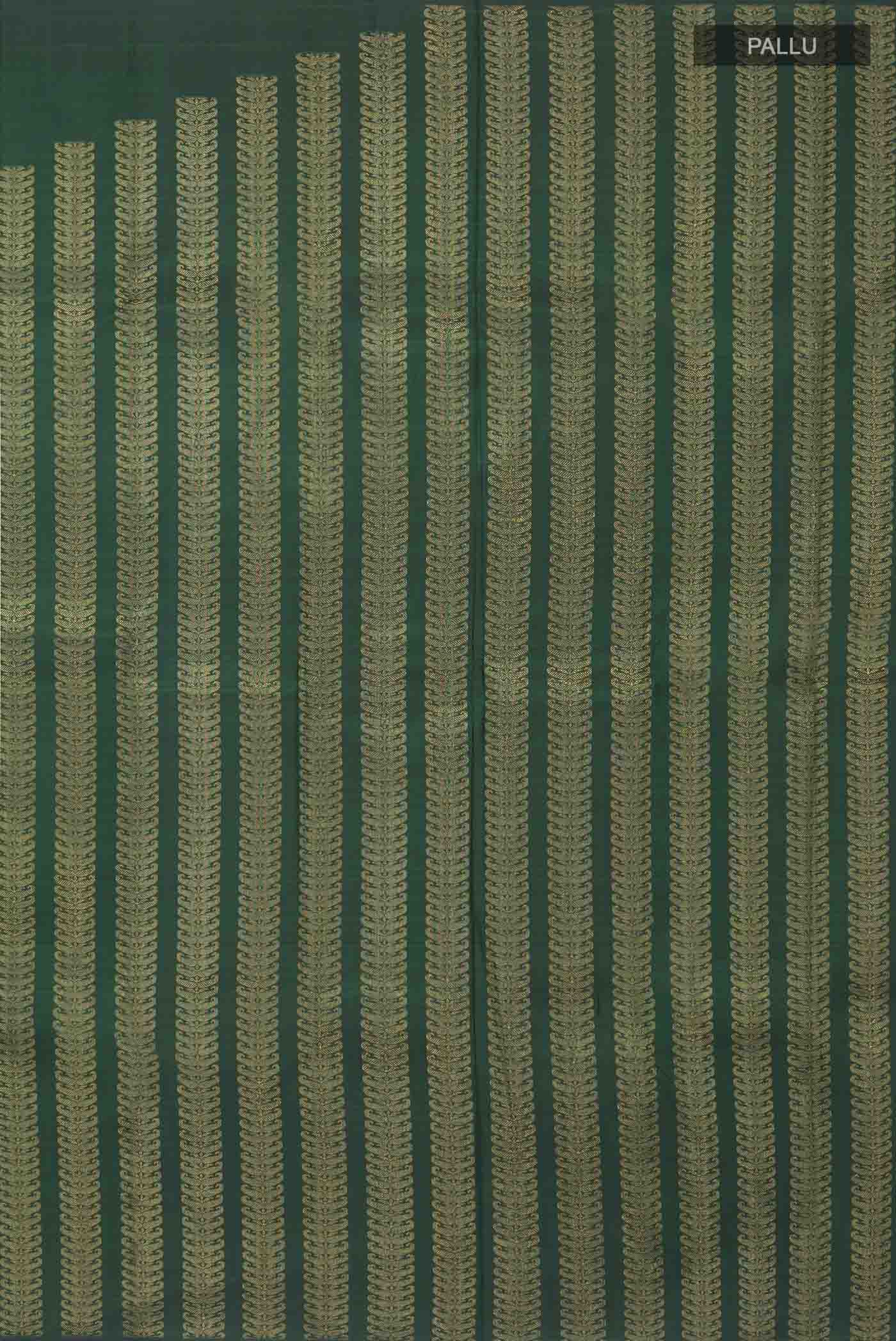 pallu_closeup