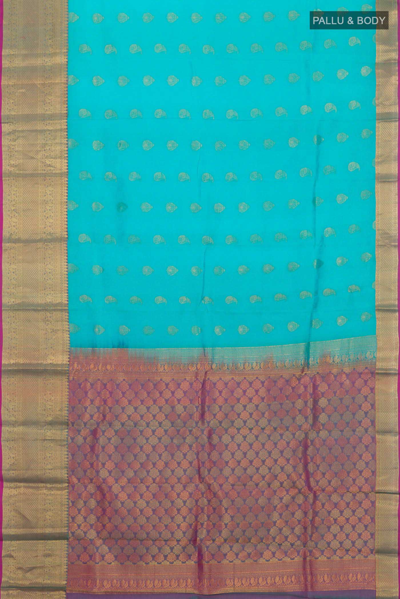pallu body