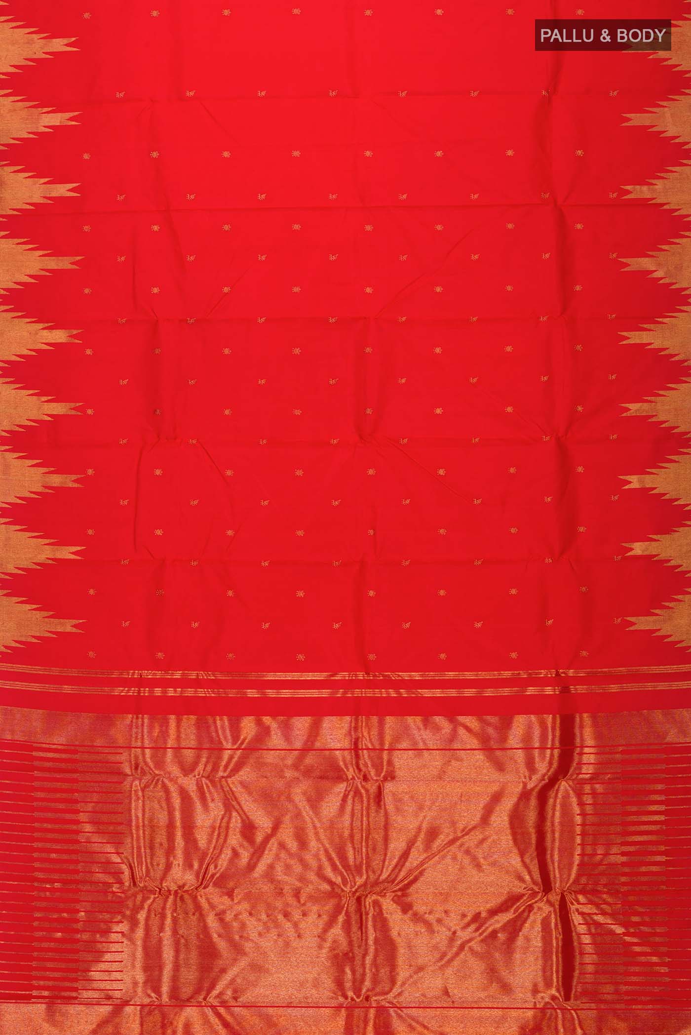 pallu body