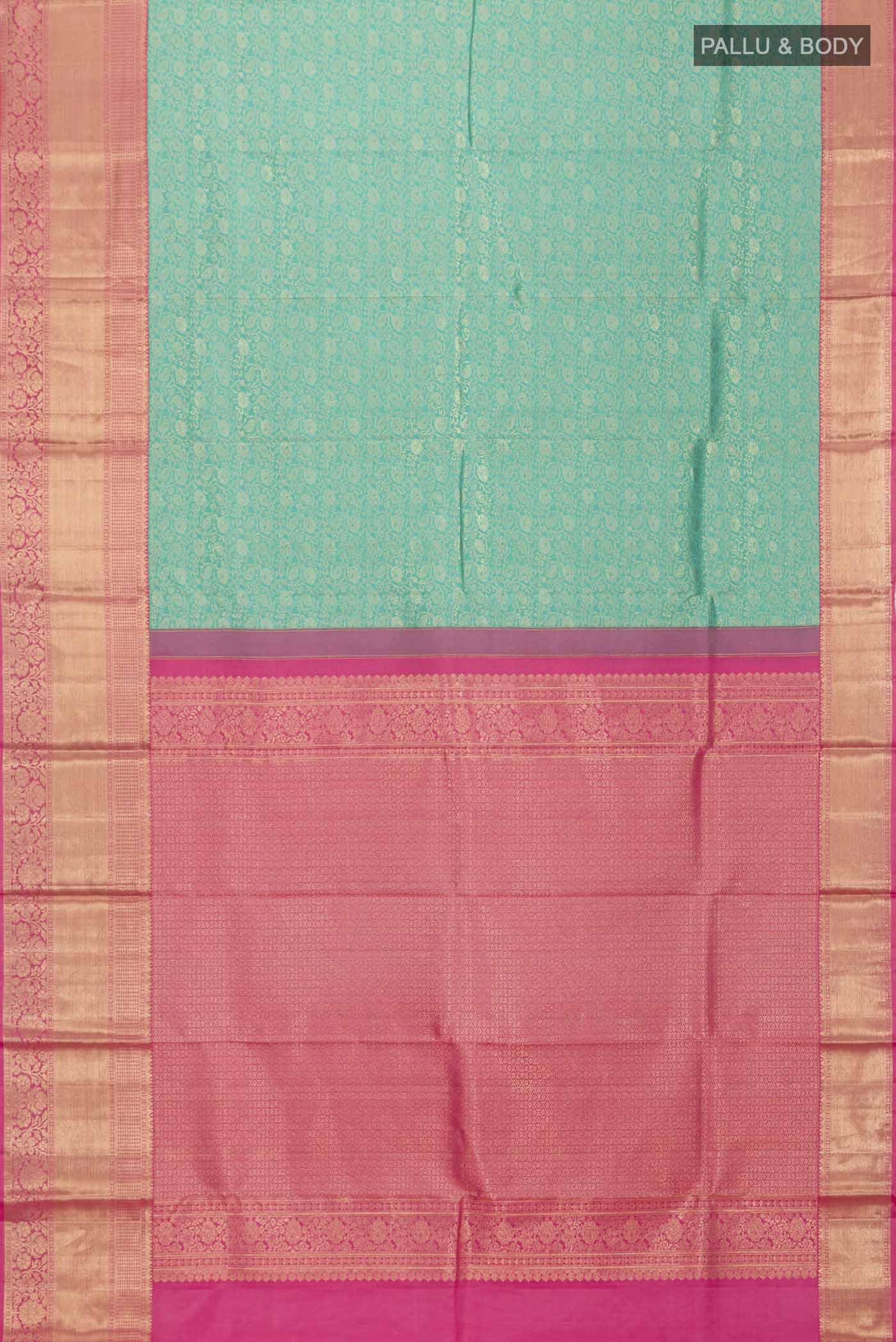 pallu body