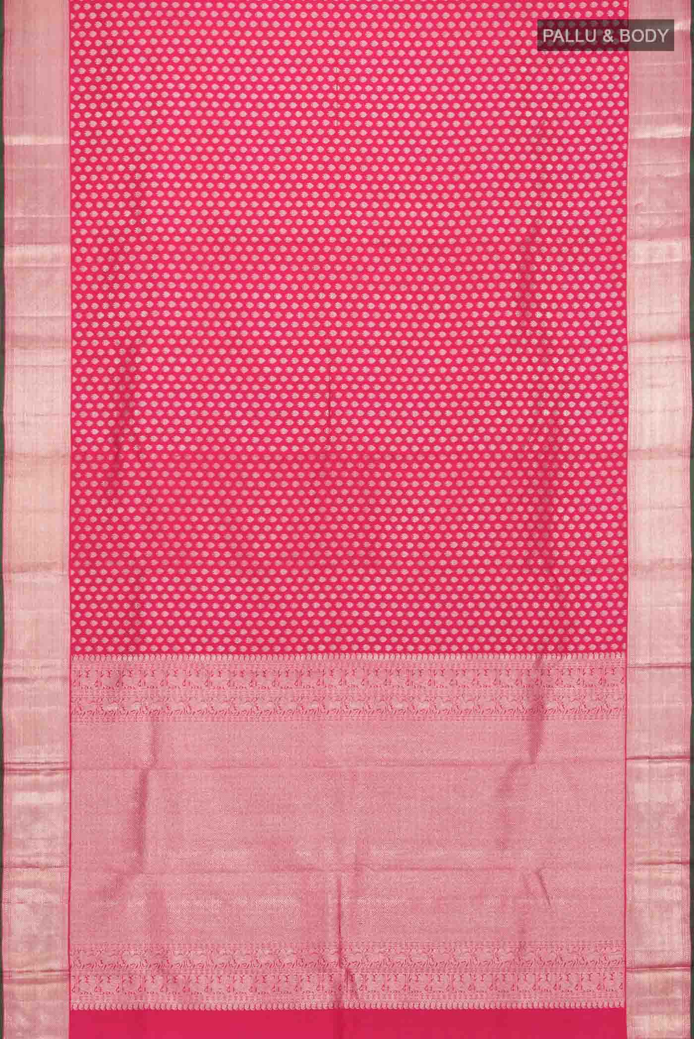 pallu body