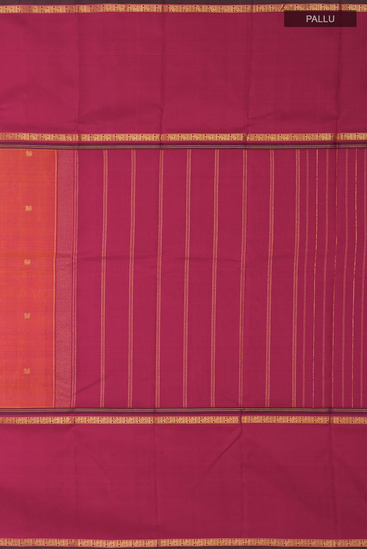 pallu_closeup