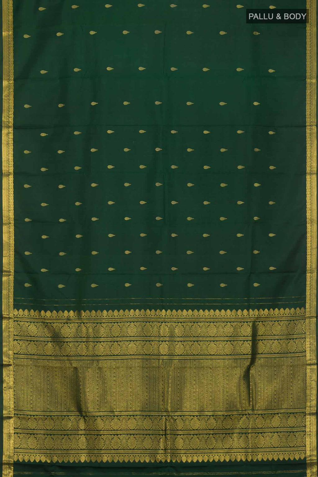 pallu body