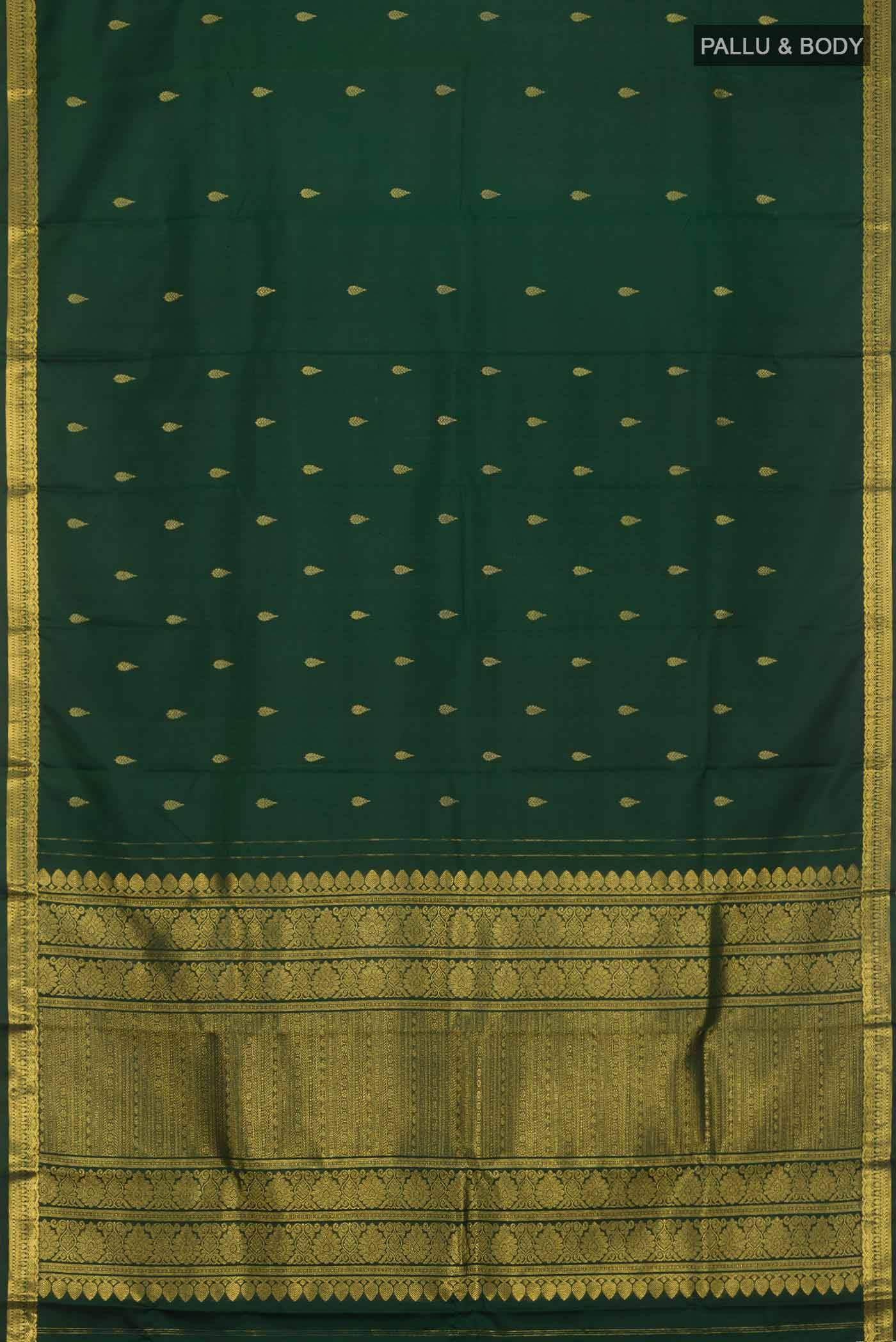 pallu body