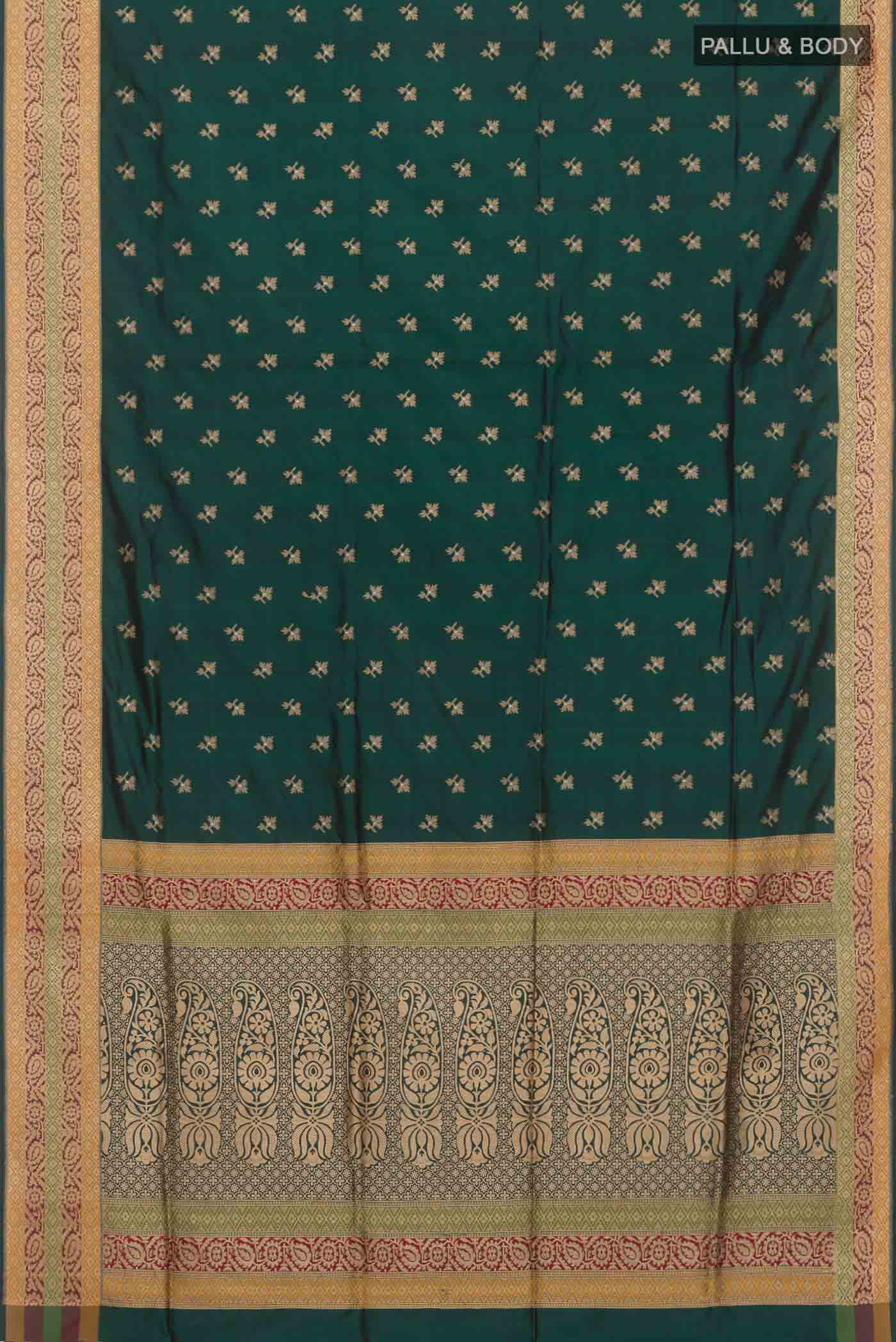 pallu body