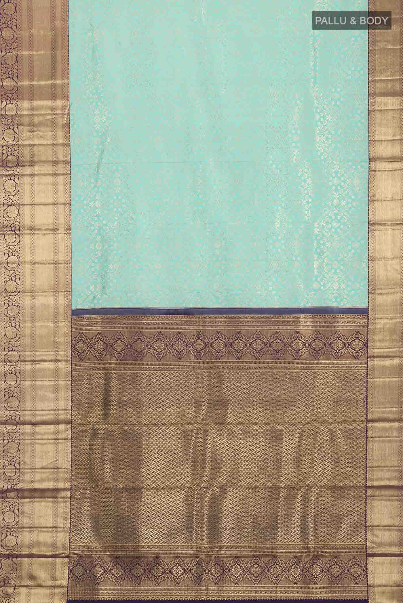 pallu body