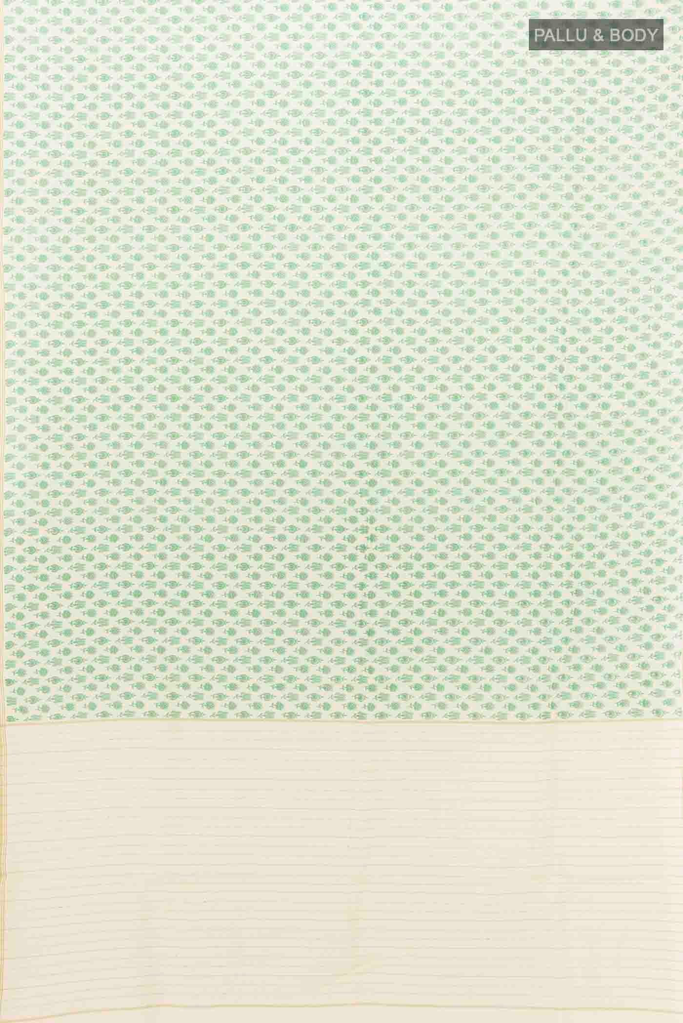 pallu body