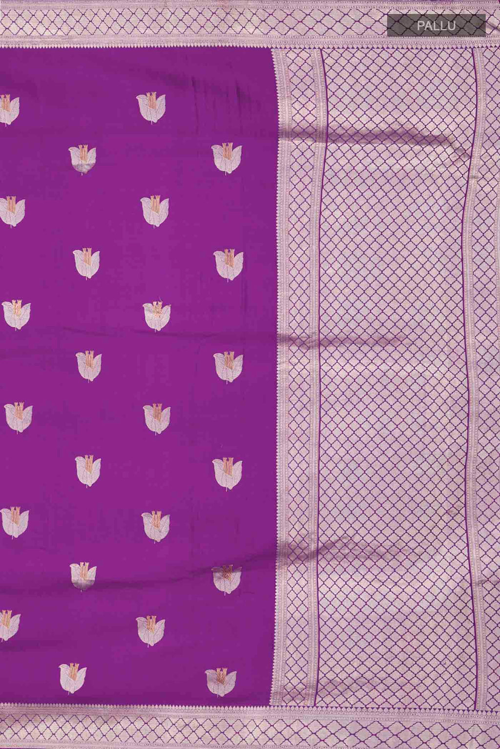 pallu_closeup