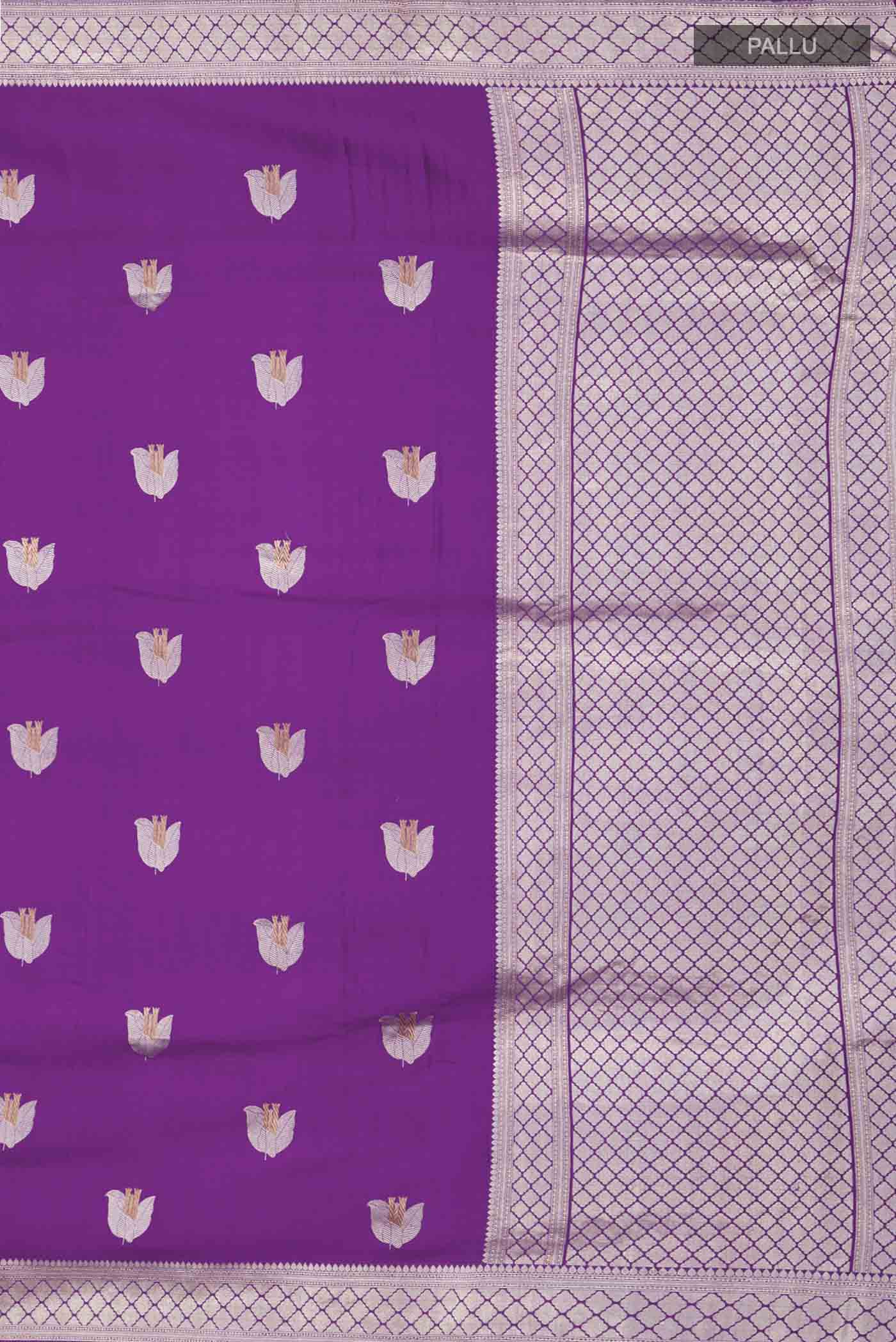 pallu_closeup