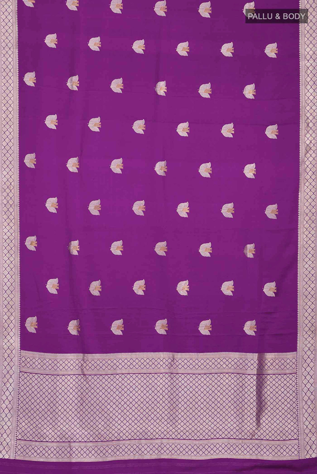 pallu body
