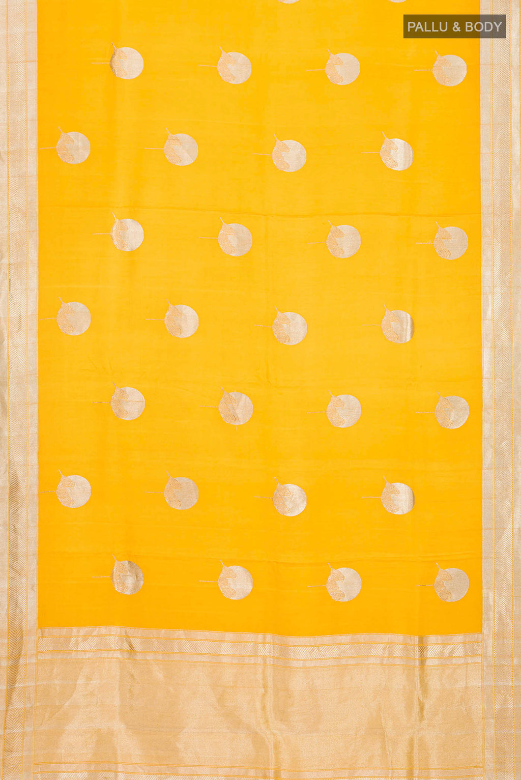 pallu body