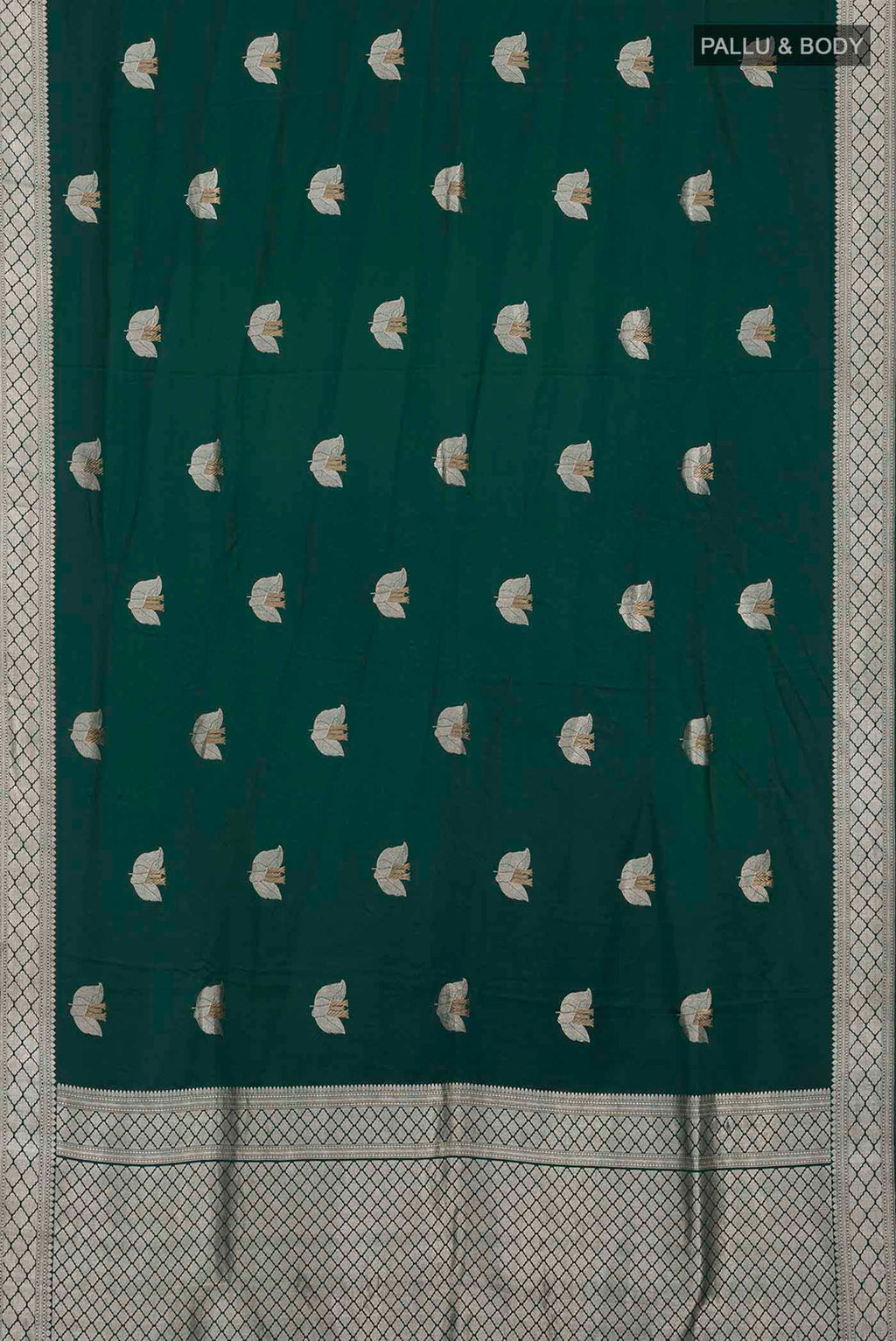 pallu body