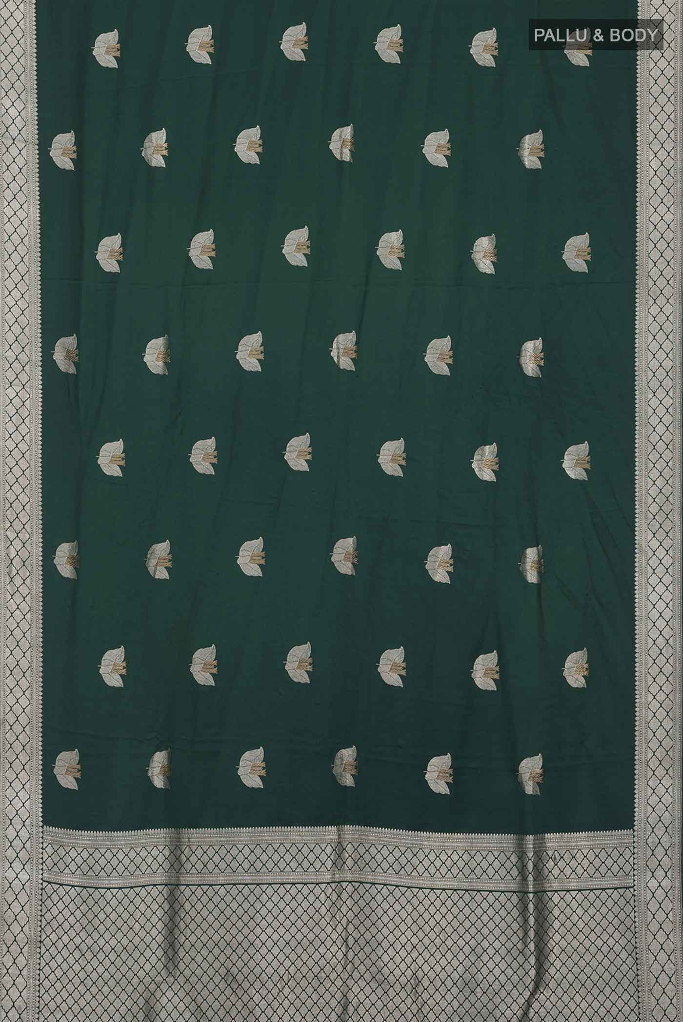 pallu body