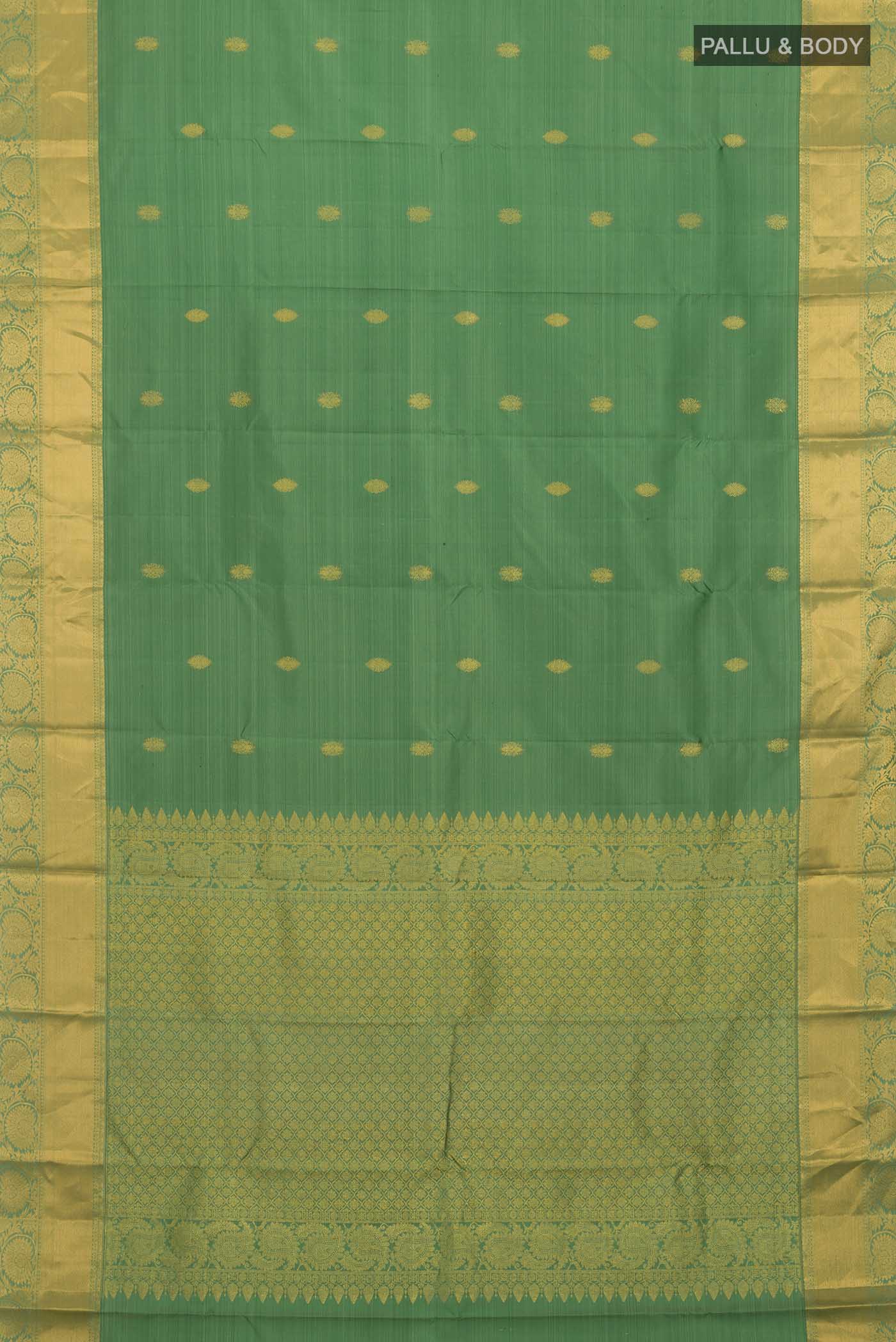 pallu body