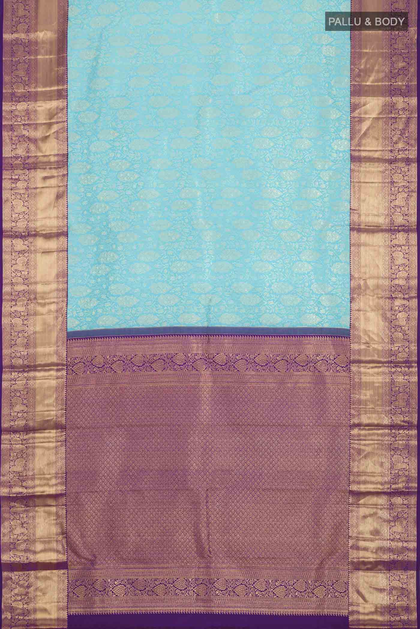pallu body