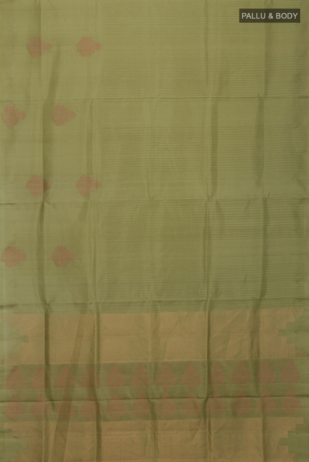pallu body