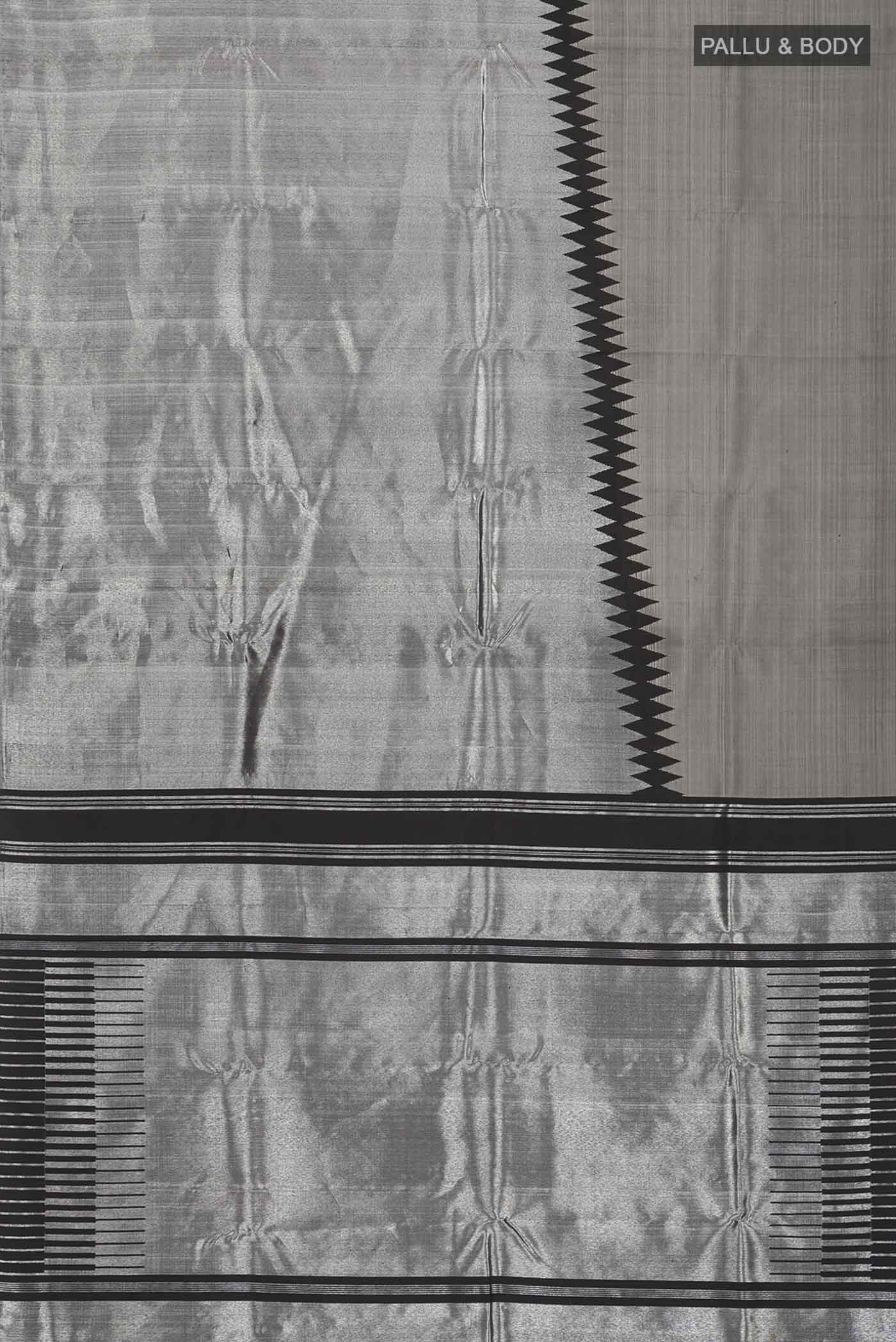 pallu body
