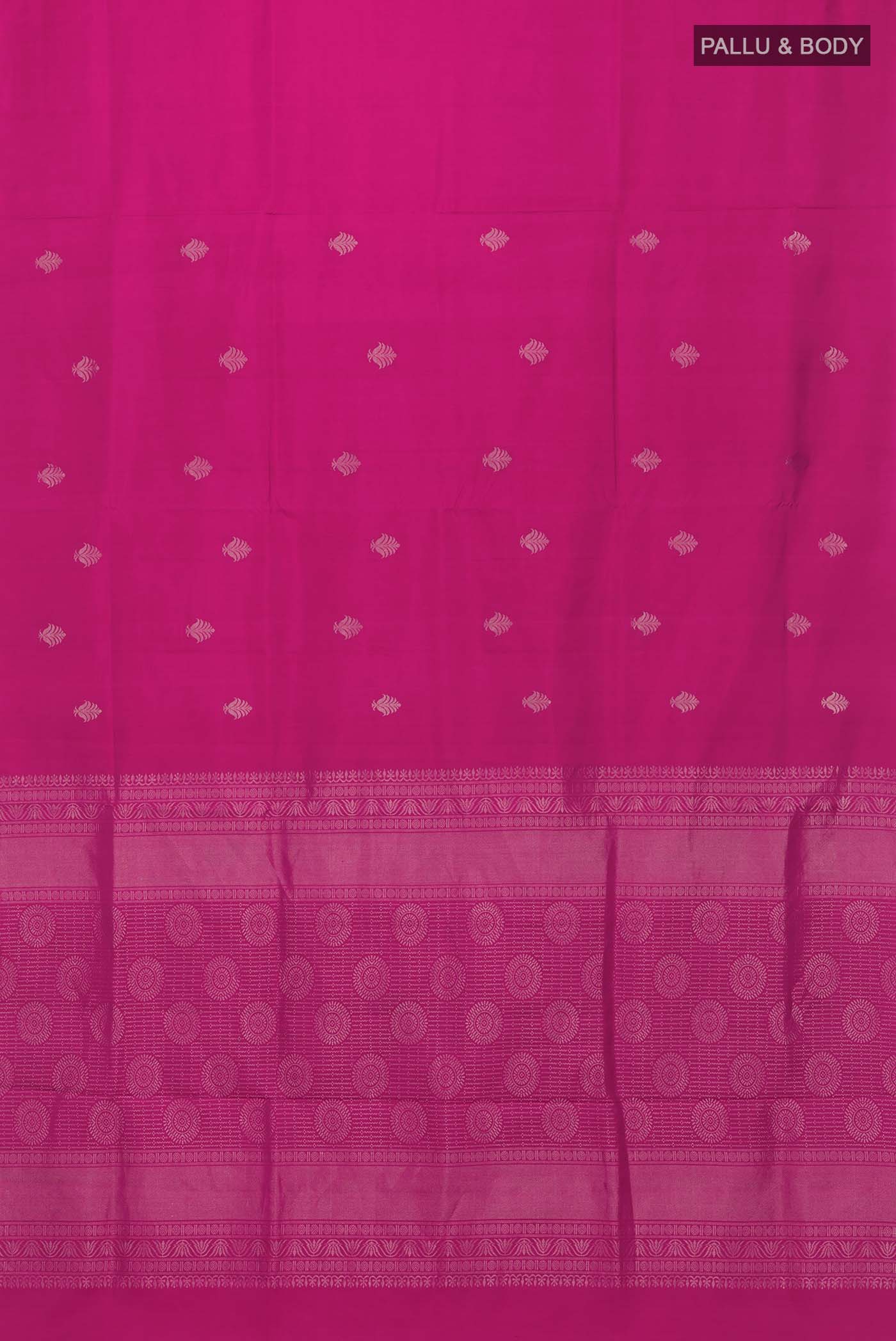 pallu body